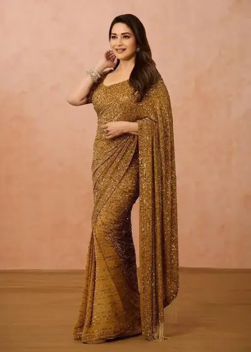 Madhuri Dixit Trending Saree