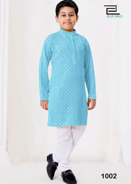 Traditional Boys Chikankari Kurta