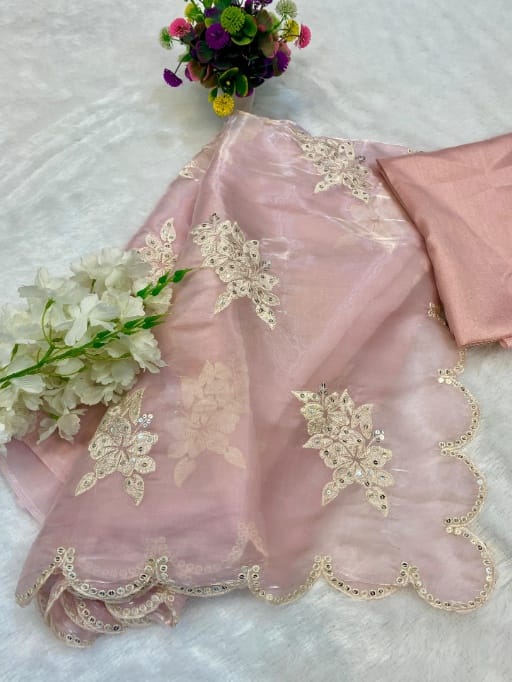 Bollywood Inspired Chitranga Singh Saree Style