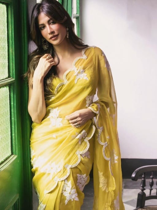 Bollywood Inspired Chitranga Singh Saree Style