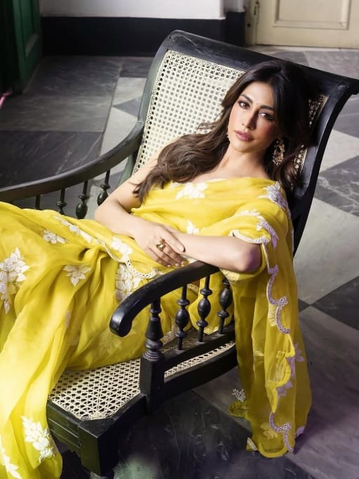 Bollywood saree