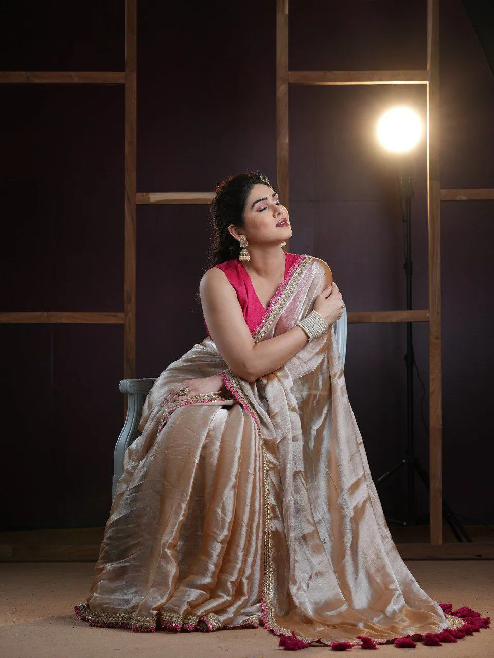 Bollywood Tissue Border Saree