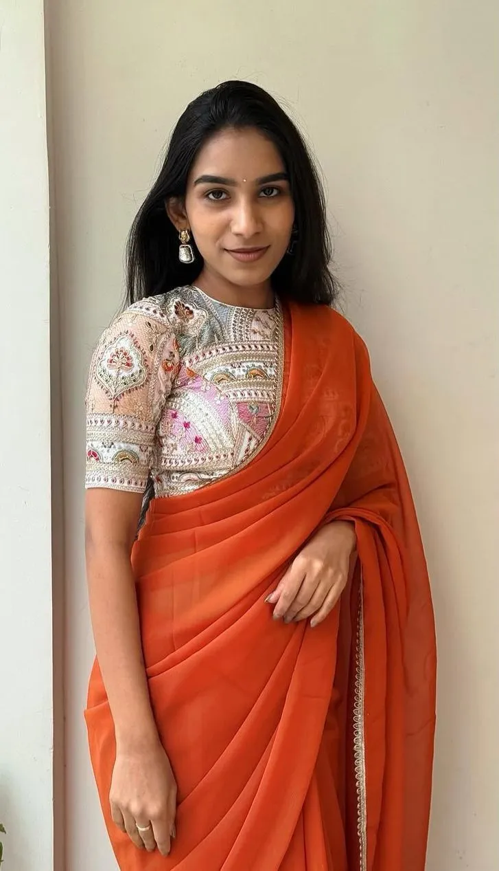 Plain Saree with Heavy Multi Color Blouse