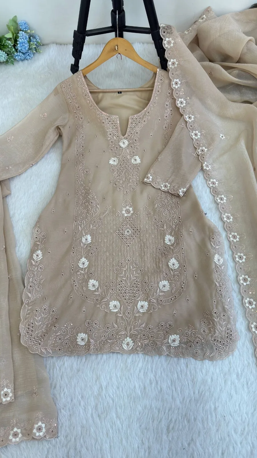 Chiku Cutwork Pakistani Dress for Wedding
