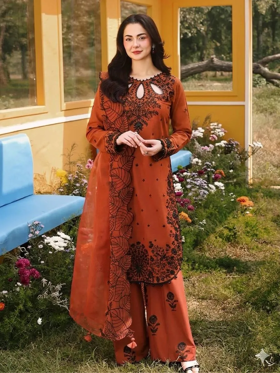 Brown Pakistani salwar suit with embroidery and organza dupatta.