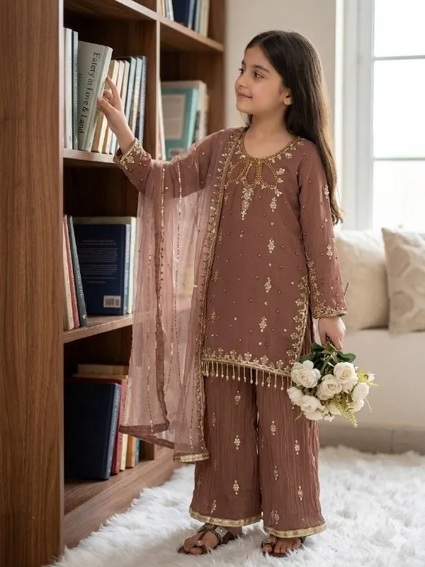 Matching Mother Daughter Embroidery Salwar Suit