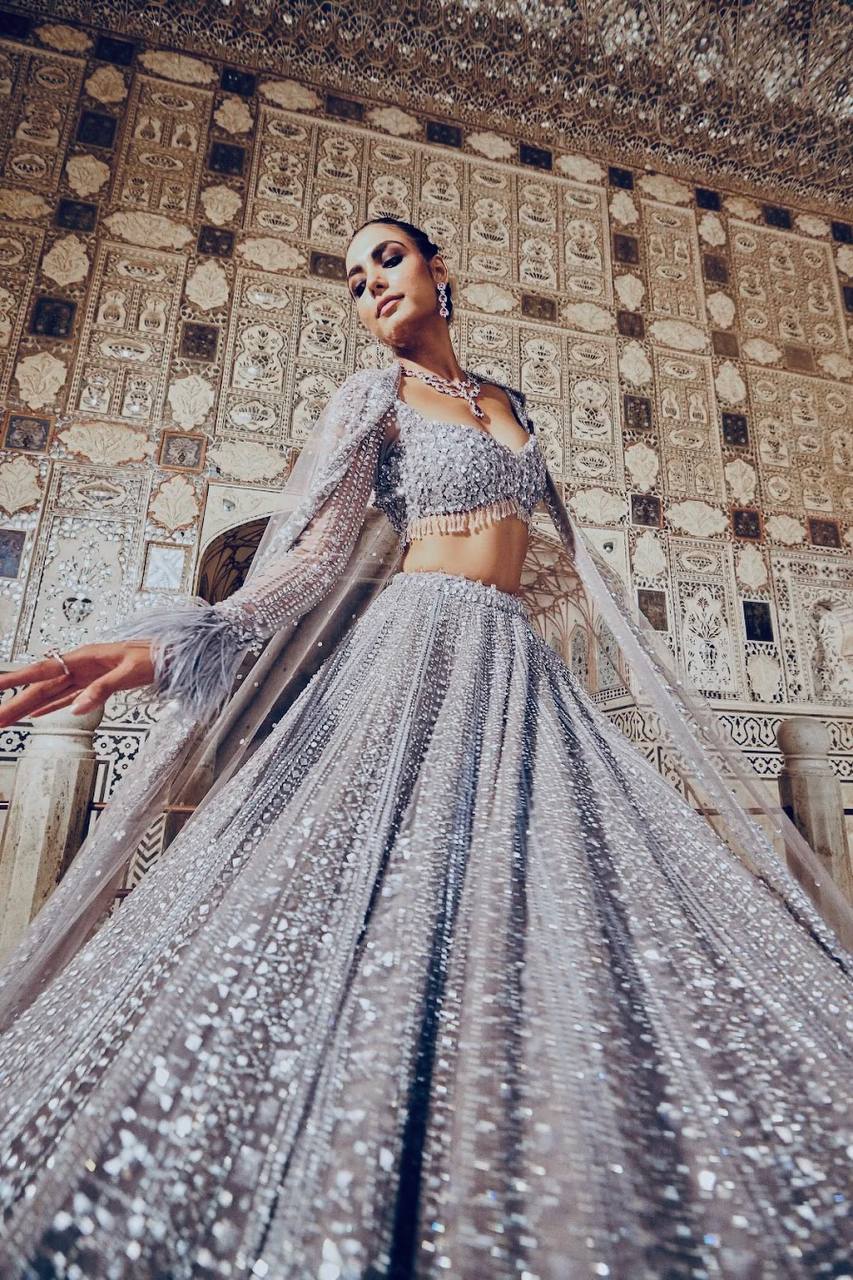 Gray Color Glittery Party Lehenga Blouse
