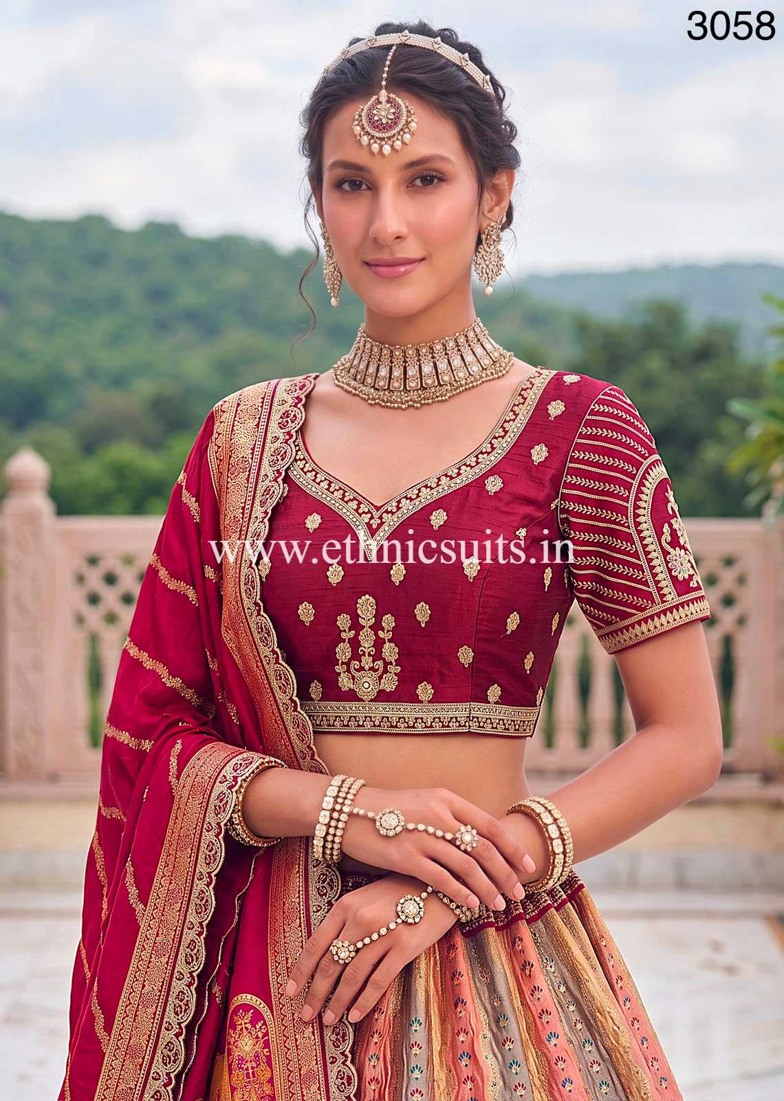 Multi-Color Panel Banarasi Silk Wedding Lehenga